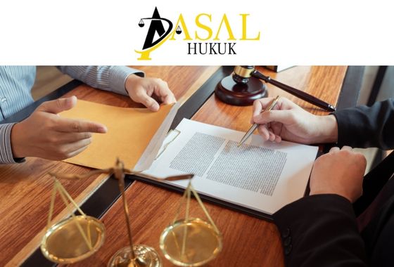 İdari Davalar