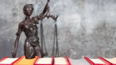 İstanbul'da Tanıma ve Tenfiz İşlemleri