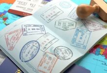 Ç-116 Deport Avukatı - Avukat En İYİ Hedefleyendir.
